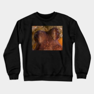 The Peering Eyes Of An Octopus Crewneck Sweatshirt